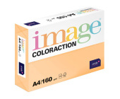 Xerografick papr Coloraction A4, 160 g, merukov/ Savana